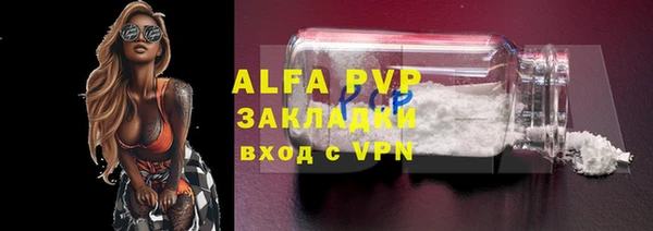 прущие грибы Липки