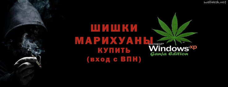 прущие грибы Липки