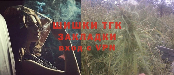 прущие грибы Липки
