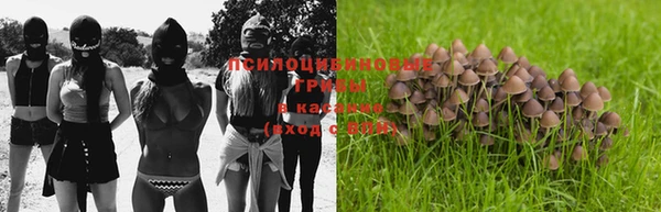 прущие грибы Липки
