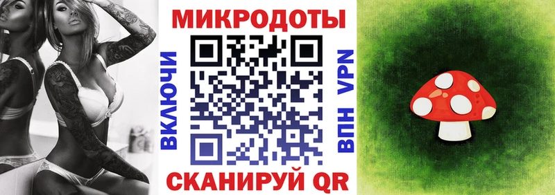 Псилоцибиновые грибы GOLDEN TEACHER  Купить  Терек 