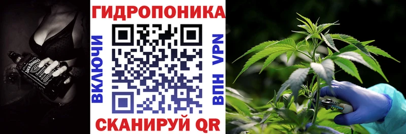 Бошки Шишки VHQ  Купить закладки  Терек 